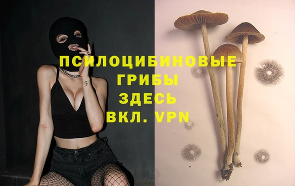кокс Осинники