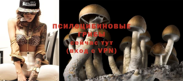 ешки Остров
