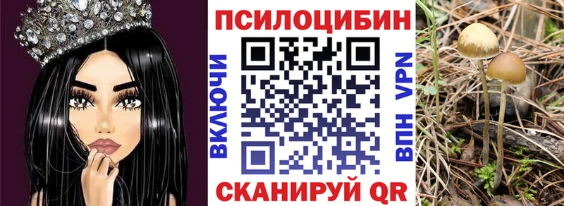 Псилоцибиновые грибы ЛСД  даркнет сайт  Богучар 
